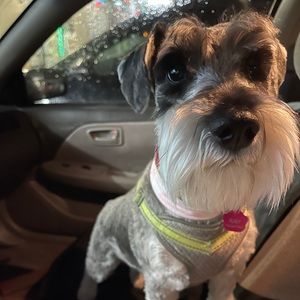 Meet your Posher, Raymond